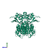 NAD-dependent protein deacetylase sirtuin-2 in PDB entry 3zgv, assembly 1, side view.