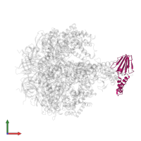 ATP synthase subunit delta, mitochondrial in PDB entry 3zia, assembly 2, front view.