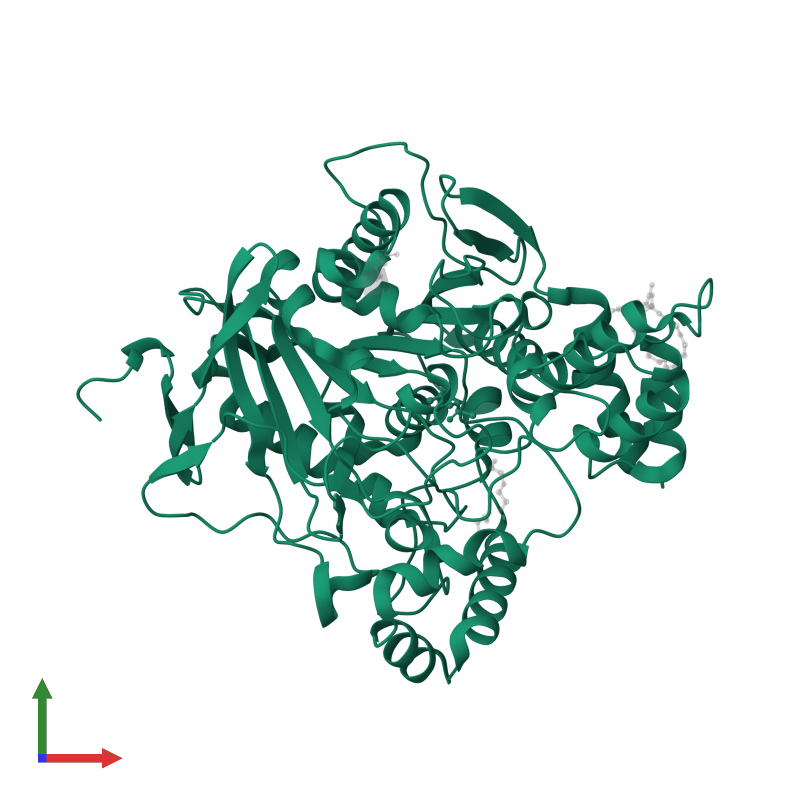 <div class='caption-body'>PDB entry 3zlt contains 1 copy of ACETYLCHOLINESTERASE in assembly 1. This protein is highlighted and viewed from the front.</div>