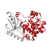 The deposited structure of PDB entry 3zlw contains 1 copy of CATH domain 1.10.510.10 (Transferase(Phosphotransferase); domain 1) in Dual specificity mitogen-activated protein kinase kinase 1. Showing 1 copy in chain A.