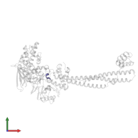 PKSFLV PEPTIDE in PDB entry 3zmu, assembly 1, front view.