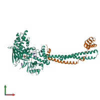 Hetero tetrameric assembly 1 of PDB entry 3zmv coloured by chemically distinct molecules, front view.