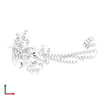 PKSFLV PEPTIDE in PDB entry 3zmv, assembly 1, front view.