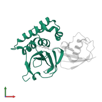 RNA-directed RNA polymerase L in PDB entry 3znh, assembly 1, front view.