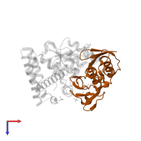 Ubiquitin in PDB entry 3znz, assembly 1, top view.