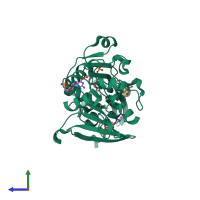 PDB entry 3zpg coloured by chain, side view.