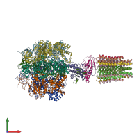 PDB entry 3zry coloured by chain, front view.