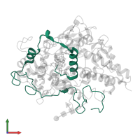 Myeloperoxidase light chain in PDB entry 3zs1, assembly 2, front view.