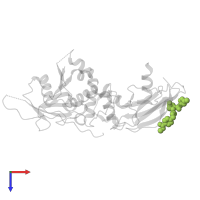 METHYL 4-[({(4R)-4-HYDROXY-1-[(3-METHYLISOXAZOL-5-YL)ACETYL]-L-PROLYL}AMINO)METHYL]BENZOATE in PDB entry 3ztd, assembly 2, top view.