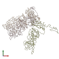 PDB entry 3zue coloured by chain, front view.
