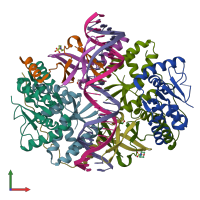 PDB entry 3zvk coloured by chain, front view.