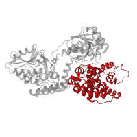 The deposited structure of PDB entry 3zw9 contains 2 copies of CATH domain 1.10.1040.50 (N-(1-d-carboxylethyl)-l-norvaline Dehydrogenase; domain 2) in Peroxisomal bifunctional enzyme. Showing 1 copy in chain A.