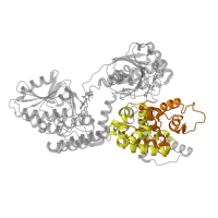The deposited structure of PDB entry 3zw9 contains 4 copies of Pfam domain PF00725 (3-hydroxyacyl-CoA dehydrogenase, C-terminal domain) in Peroxisomal bifunctional enzyme. Showing 2 copies in chain A.