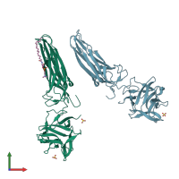 PDB entry 3zxg coloured by chain, front view.