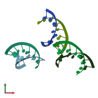 PDB entry 409d coloured by chain, front view.