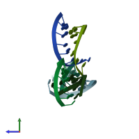 PDB entry 409d coloured by chain, side view.
