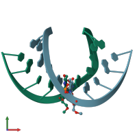 PDB entry 411d coloured by chain, front view.