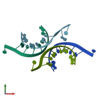 PDB entry 419d coloured by chain, front view.