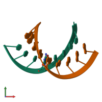 PDB entry 421d coloured by chain, front view.