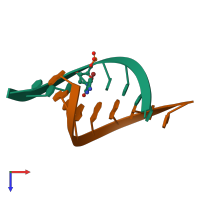 PDB entry 421d coloured by chain, top view.