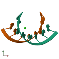 PDB entry 439d coloured by chain, front view.