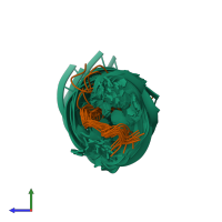 PDB entry 484d coloured by chain, ensemble of 22 models, side view.