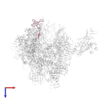 DNA-directed RNA polymerases I, II, and III subunit RPABC4 in PDB entry 4a3b, assembly 1, top view.