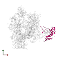 DNA-directed RNA polymerase II subunit RPB4 in PDB entry 4a3i, assembly 1, front view.