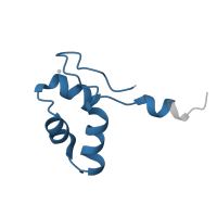 The deposited structure of PDB entry 4a3j contains 1 copy of Pfam domain PF01194 (RNA polymerases N / 8 kDa subunit) in DNA-directed RNA polymerases I, II, and III subunit RPABC5. Showing 1 copy in chain J.