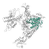 The deposited structure of PDB entry 4a3j contains 1 copy of Pfam domain PF04992 (RNA polymerase Rpb1, domain 6) in DNA-directed RNA polymerase II subunit RPB1. Showing 1 copy in chain A.