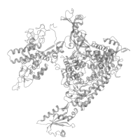 The deposited structure of PDB entry 4a3j contains 25 copies of Pfam domain PF05001 (RNA polymerase Rpb1 C-terminal repeat ) in DNA-directed RNA polymerase II subunit RPB1. Showing 25 copies in chain A (this domain is out of the observed residue ranges!).
