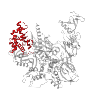 The deposited structure of PDB entry 4a3j contains 1 copy of CATH domain 3.90.1110.10 (Dna-directed Rna Polymerase Ii 140kd Polypeptide; Chain: B; domain 3) in DNA-directed RNA polymerase II subunit RPB2. Showing 1 copy in chain B.