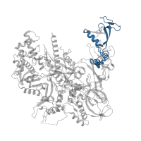 The deposited structure of PDB entry 4a3j contains 1 copy of CATH domain 3.90.1800.10 (DCoH-like) in DNA-directed RNA polymerase II subunit RPB2. Showing 1 copy in chain B.