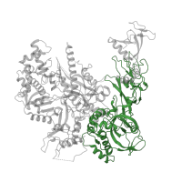 The deposited structure of PDB entry 4a3j contains 1 copy of Pfam domain PF00562 (RNA polymerase Rpb2, domain 6) in DNA-directed RNA polymerase II subunit RPB2. Showing 1 copy in chain B.