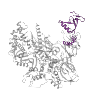 The deposited structure of PDB entry 4a3j contains 1 copy of Pfam domain PF04560 (RNA polymerase Rpb2, domain 7) in DNA-directed RNA polymerase II subunit RPB2. Showing 1 copy in chain B.