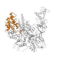 The deposited structure of PDB entry 4a3j contains 1 copy of Pfam domain PF04561 (RNA polymerase Rpb2, domain 2) in DNA-directed RNA polymerase II subunit RPB2. Showing 1 copy in chain B.