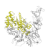 The deposited structure of PDB entry 4a3j contains 1 copy of Pfam domain PF04563 (RNA polymerase beta subunit) in DNA-directed RNA polymerase II subunit RPB2. Showing 1 copy in chain B.