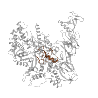 The deposited structure of PDB entry 4a3j contains 1 copy of Pfam domain PF04565 (RNA polymerase Rpb2, domain 3) in DNA-directed RNA polymerase II subunit RPB2. Showing 1 copy in chain B.