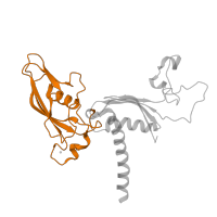 The deposited structure of PDB entry 4a3j contains 1 copy of CATH domain 2.170.120.12 (RNA Polymerase Alpha Subunit; Chain A, domain 2) in DNA-directed RNA polymerase II subunit RPB3. Showing 1 copy in chain C.