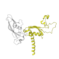 The deposited structure of PDB entry 4a3j contains 1 copy of CATH domain 3.30.1360.10 (Gyrase A; domain 2) in DNA-directed RNA polymerase II subunit RPB3. Showing 1 copy in chain C.