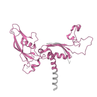 The deposited structure of PDB entry 4a3j contains 1 copy of Pfam domain PF01193 (RNA polymerase Rpb3/Rpb11 dimerisation domain) in DNA-directed RNA polymerase II subunit RPB3. Showing 1 copy in chain C.