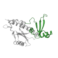 The deposited structure of PDB entry 4a3j contains 1 copy of CATH domain 3.90.940.20 (Eukaryotic RPB6 RNA polymerase subunit) in DNA-directed RNA polymerases I, II, and III subunit RPABC1. Showing 1 copy in chain E.