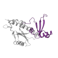 The deposited structure of PDB entry 4a3j contains 1 copy of Pfam domain PF01191 (RNA polymerase Rpb5, C-terminal domain) in DNA-directed RNA polymerases I, II, and III subunit RPABC1. Showing 1 copy in chain E.