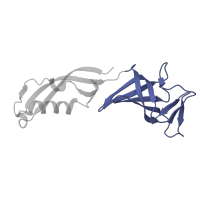 The deposited structure of PDB entry 4a3j contains 1 copy of CATH domain 2.40.50.140 (OB fold (Dihydrolipoamide Acetyltransferase, E2P)) in DNA-directed RNA polymerase II subunit RPB7. Showing 1 copy in chain G.