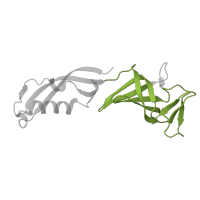 The deposited structure of PDB entry 4a3j contains 1 copy of Pfam domain PF00575 (S1 RNA binding domain) in DNA-directed RNA polymerase II subunit RPB7. Showing 1 copy in chain G.