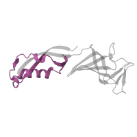 The deposited structure of PDB entry 4a3j contains 1 copy of Pfam domain PF03876 (SHS2 domain found in N terminus of Rpb7p/Rpc25p/MJ0397) in DNA-directed RNA polymerase II subunit RPB7. Showing 1 copy in chain G.