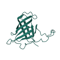 The deposited structure of PDB entry 4a3j contains 1 copy of CATH domain 2.40.50.140 (OB fold (Dihydrolipoamide Acetyltransferase, E2P)) in DNA-directed RNA polymerases I, II, and III subunit RPABC3. Showing 1 copy in chain H.