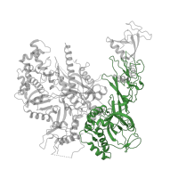 The deposited structure of PDB entry 4a3m contains 1 copy of Pfam domain PF00562 (RNA polymerase Rpb2, domain 6) in DNA-directed RNA polymerase II subunit RPB2. Showing 1 copy in chain B.