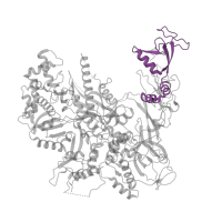 The deposited structure of PDB entry 4a3m contains 1 copy of Pfam domain PF04560 (RNA polymerase Rpb2, domain 7) in DNA-directed RNA polymerase II subunit RPB2. Showing 1 copy in chain B.