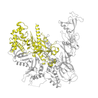 The deposited structure of PDB entry 4a3m contains 1 copy of Pfam domain PF04563 (RNA polymerase beta subunit) in DNA-directed RNA polymerase II subunit RPB2. Showing 1 copy in chain B.